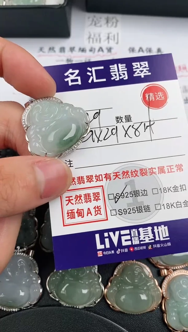 翡翠银S925镶嵌颈饰·