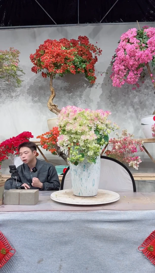 【闪购商品】盆景绿樱