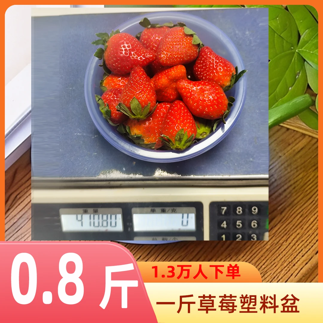 TaaTmake0.8斤装草莓的一次性塑料盆圆形盆小号草莓采摘盆透明盆