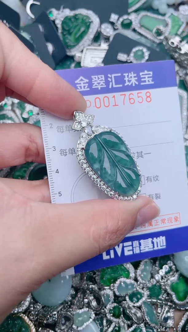 【闪购商品】翡翠颈饰未镶嵌17658........1