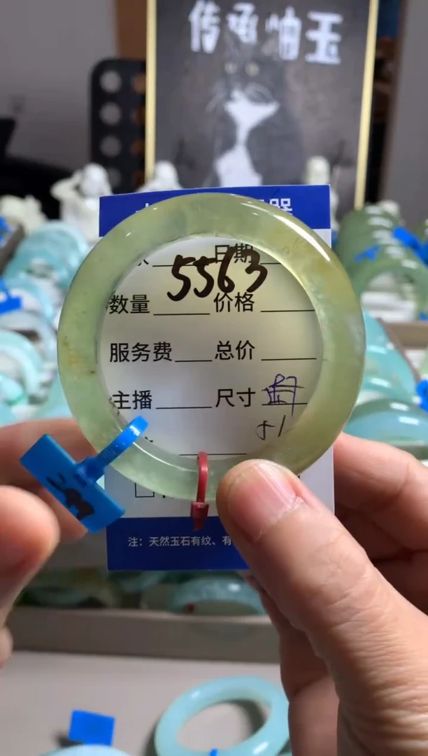 蛇纹石玉未镶嵌手镯退***坑5563