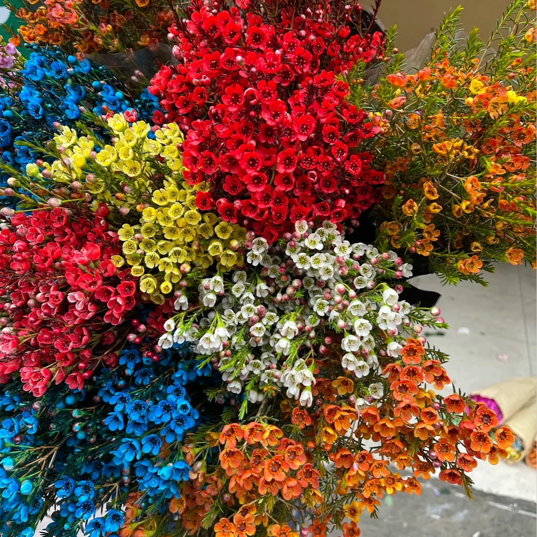 【惊喜组合04】腊梅红色银柳挂件组合  年宵花  送人送礼#鲜花