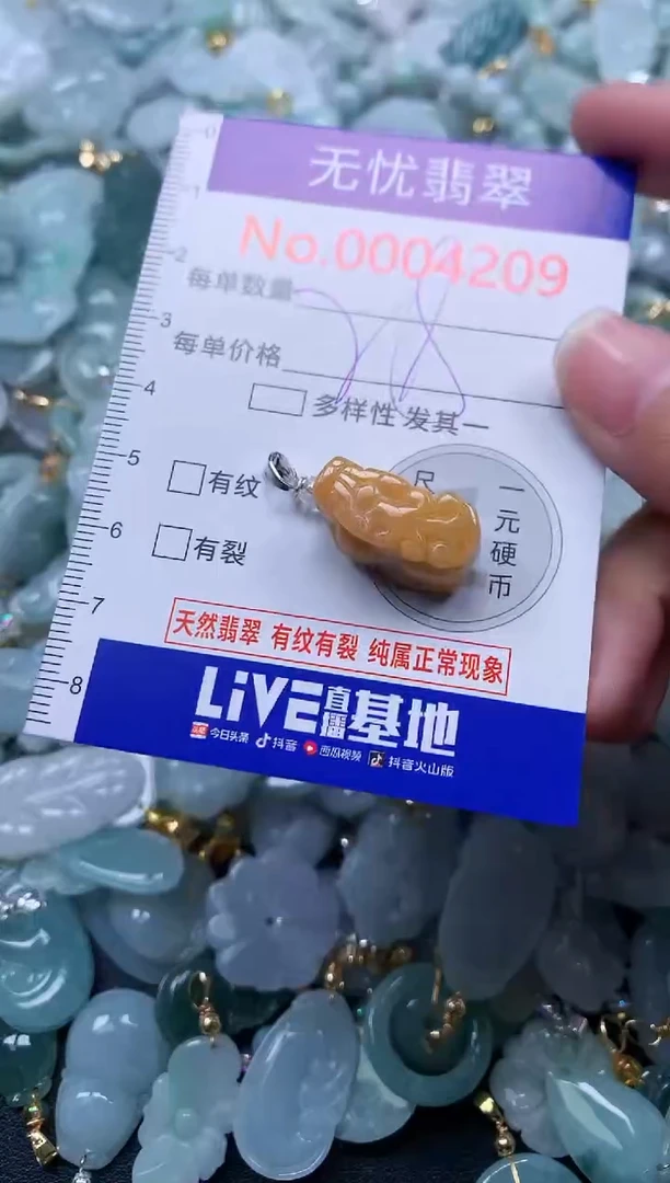 颈饰未镶嵌翡翠4209