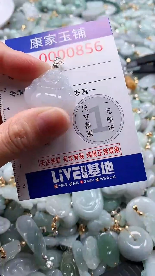 翡翠未镶嵌吊坠(不含链)856