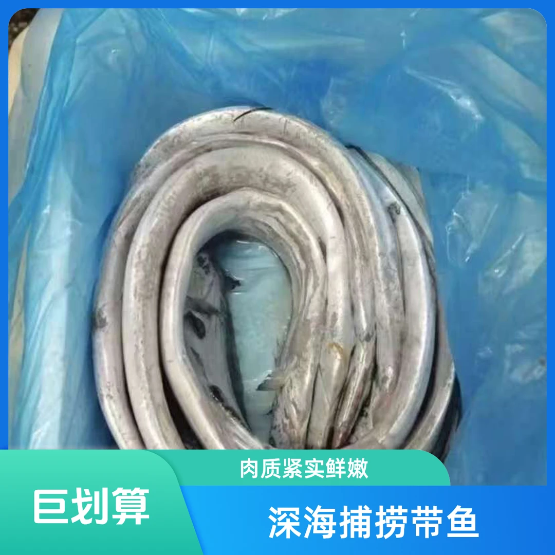 东海小眼睛油带鱼海鲜 到手8条以内保净重4斤以上 顺丰冷链到家