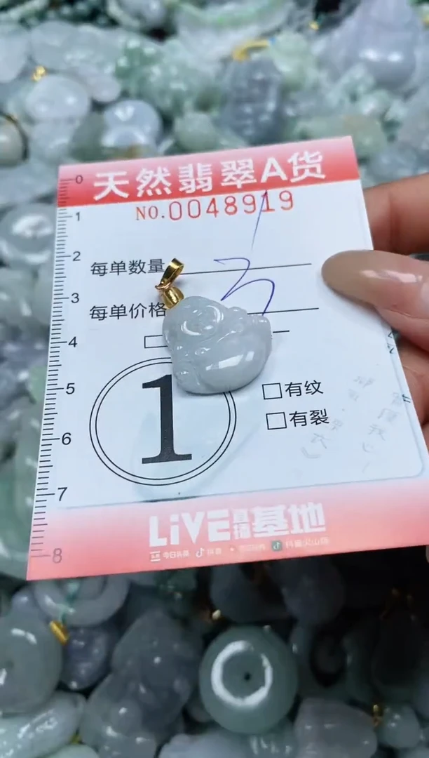 翡翠未镶嵌颈饰闪购0048919