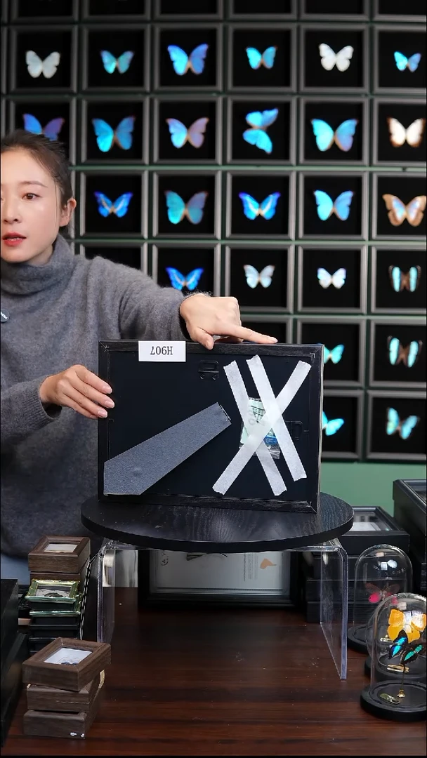 蝴蝶标本摆件竞拍H907