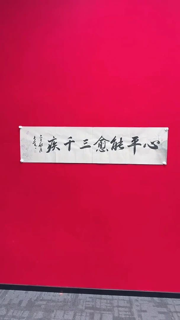 书法于长青  心平能愈三千疾  4平尺