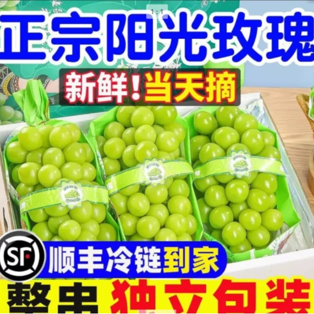 【次日达专享】新鲜采摘阳光玫瑰青提晴王葡萄多仓发货顺丰申通上门今天发明天到云南省