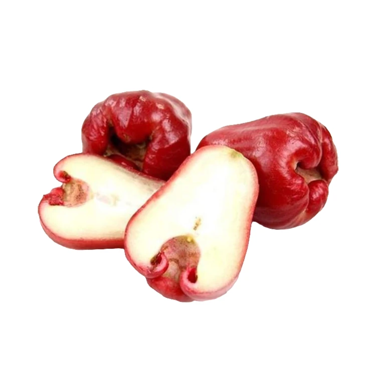 新鲜莲雾1盒 350g