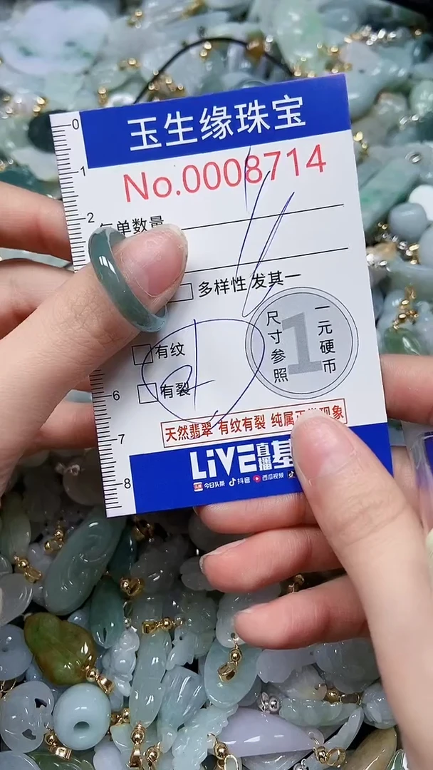 【闪购商品】翡翠颈饰未镶嵌闪购00008714