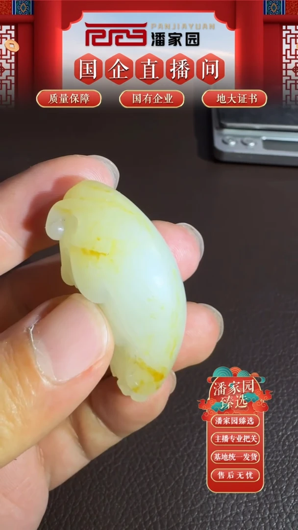 颈饰未镶嵌和田玉38zf-ss-0926-和田玉-貔貅-新疆-51*20