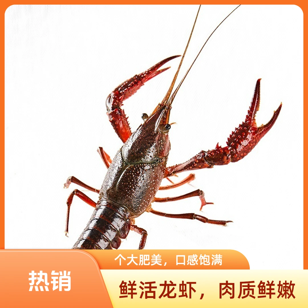 《万鑫海鲜》小龙虾
