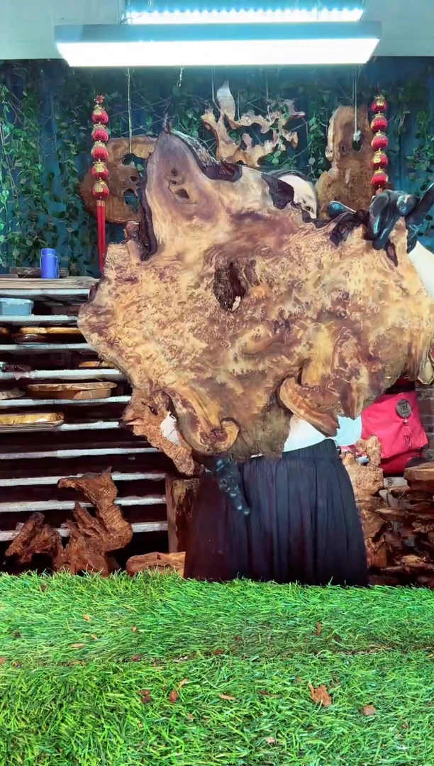 香杉木香衫树根榴26