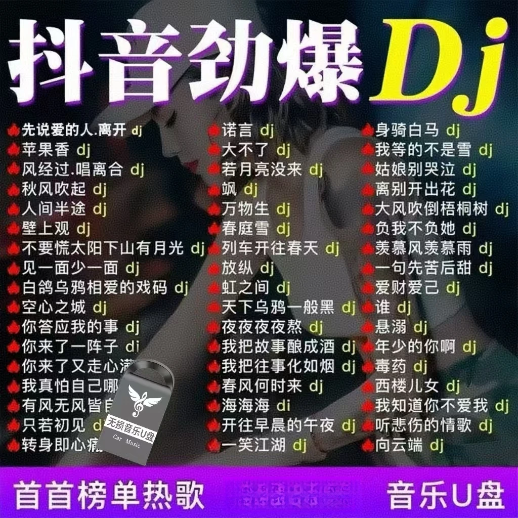 2025重低音DJ舞曲车载音乐u盘抖音新歌中文热门dj劲爆嗨曲MP4优盘