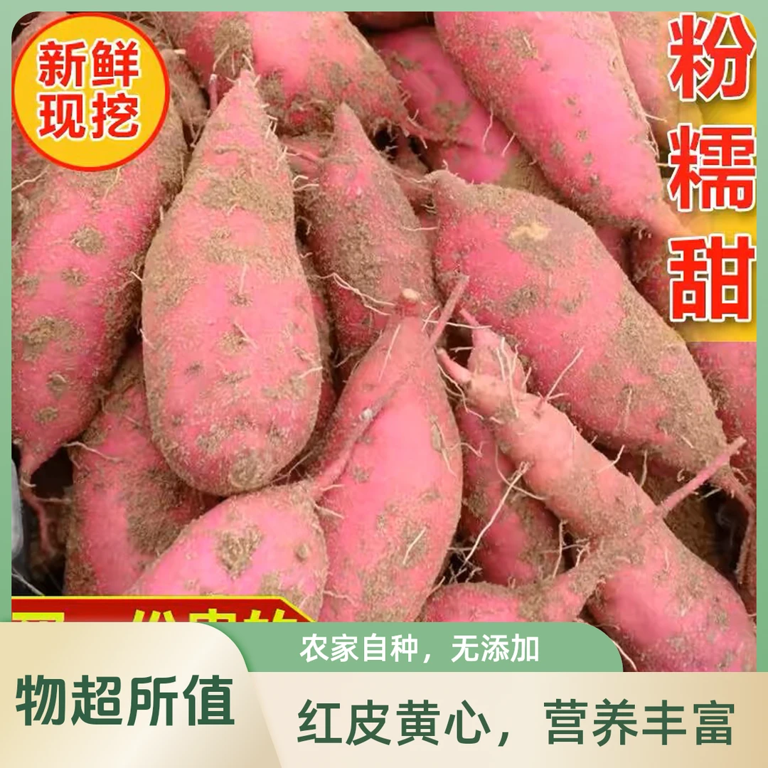 （1-2两）海南生鲜桥头富硒地瓜蔬菜新鲜现挖板栗薯香甜农家种植