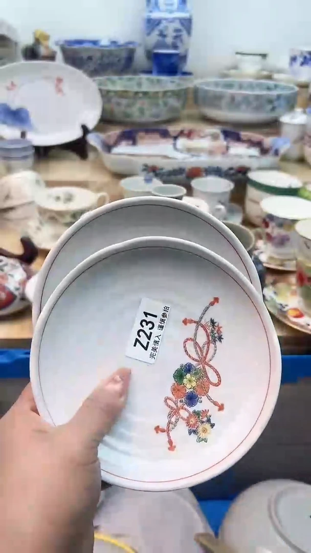 【闪购商品】瓷片231