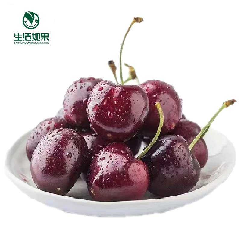 【小时达】智利Santina桑提娜 黑车4J级 车厘子5斤| 脆甜爆汁 深黑宝石光泽 | 空运桑提娜智利