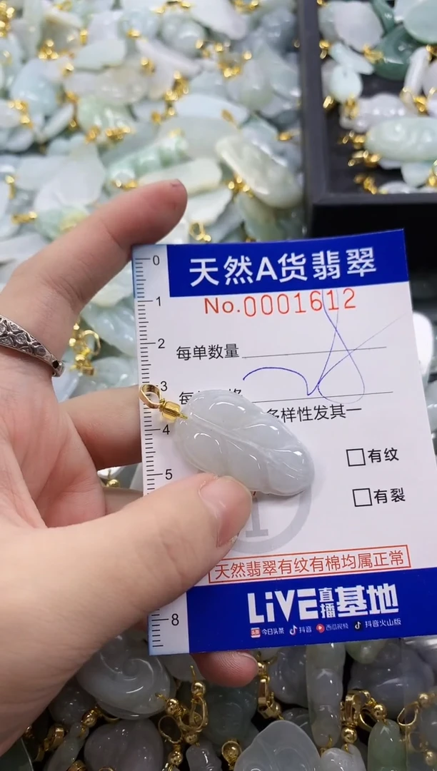 颈饰未镶嵌翡翠天然A货翡翠