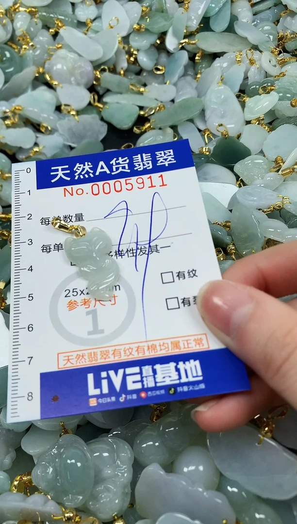 颈饰未镶嵌翡翠纯天然a货翡翠1