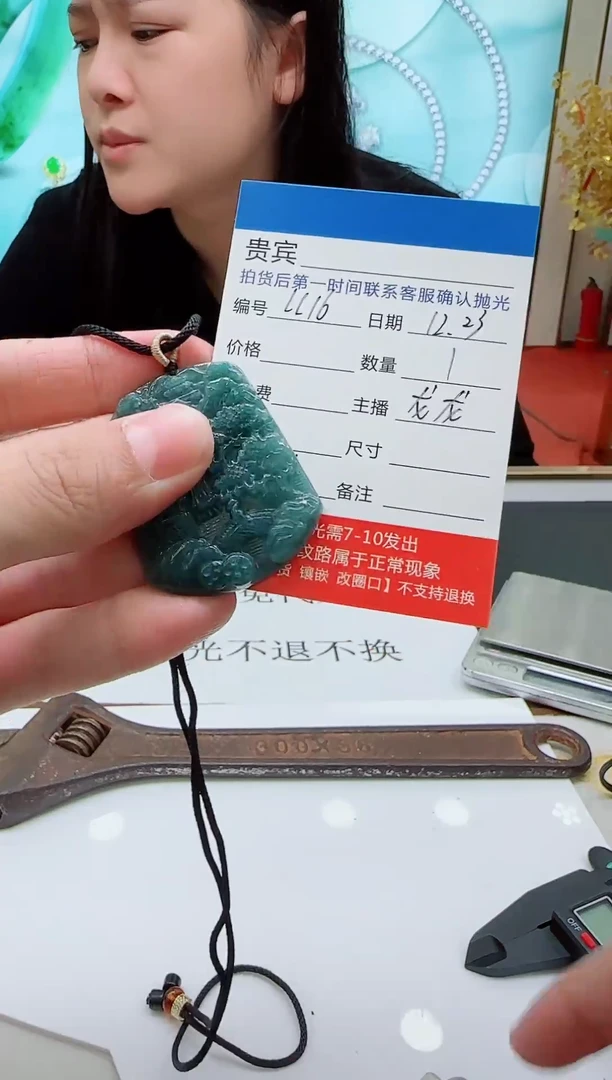 颈饰未镶嵌翡翠LL16翡翠吊坠-多样性发其一