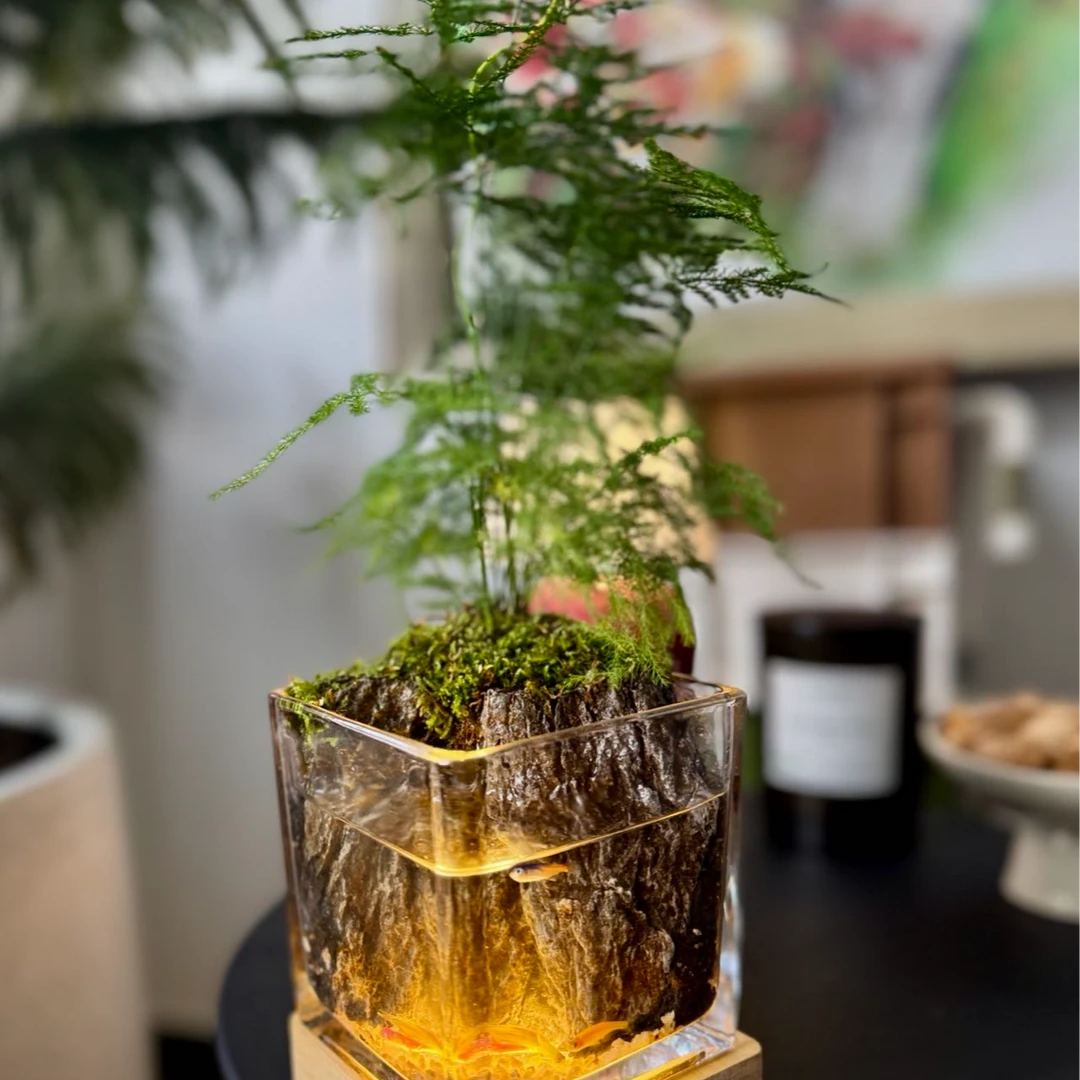 揽山「方寸水墨」桌面可养鱼微景观节日礼物你的山水