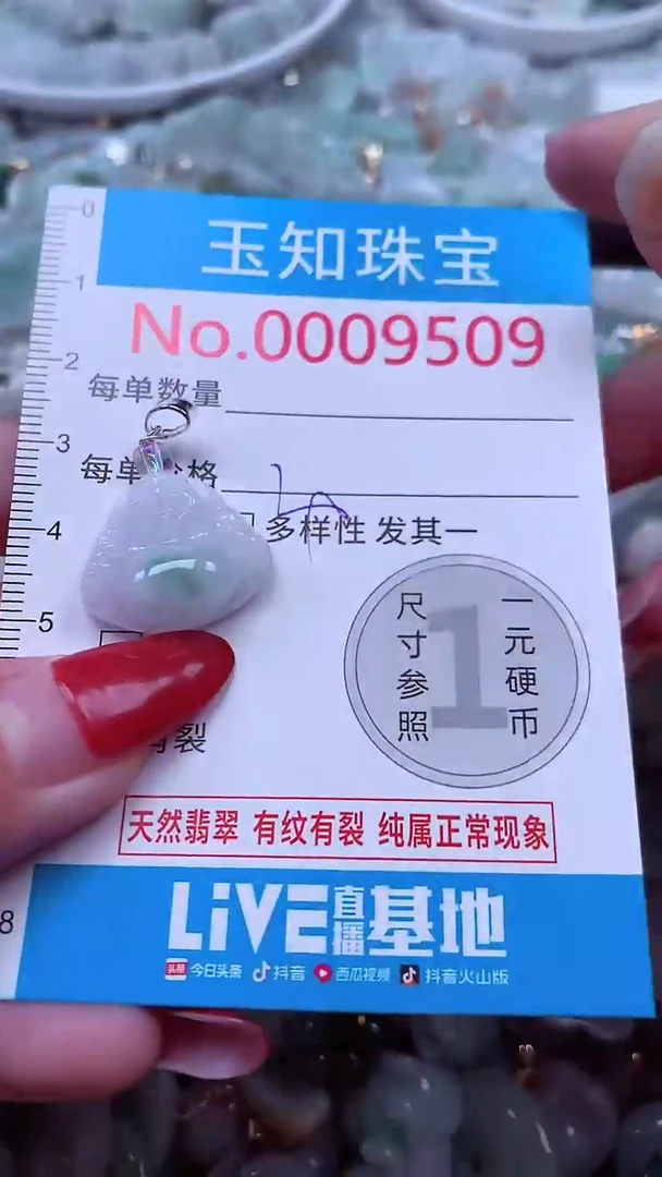 吊坠(不含链)未镶嵌翡翠9509