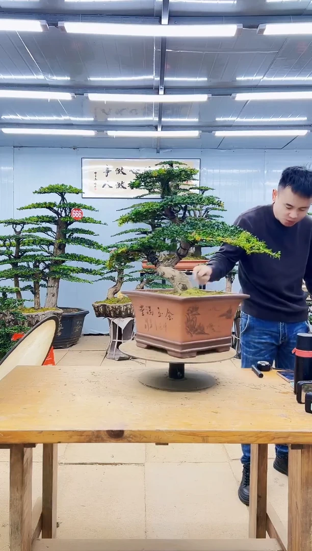 无花朵000000000000000000