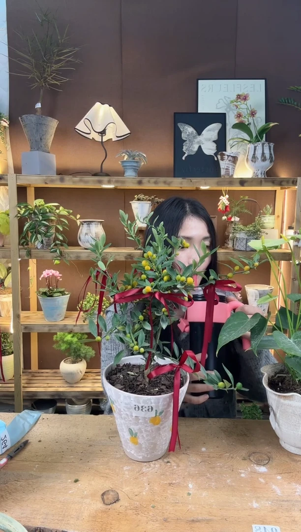 无花朵636金豆加盆一套