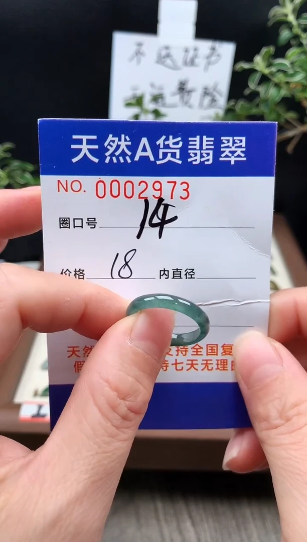 未镶嵌戒指翡翠14#