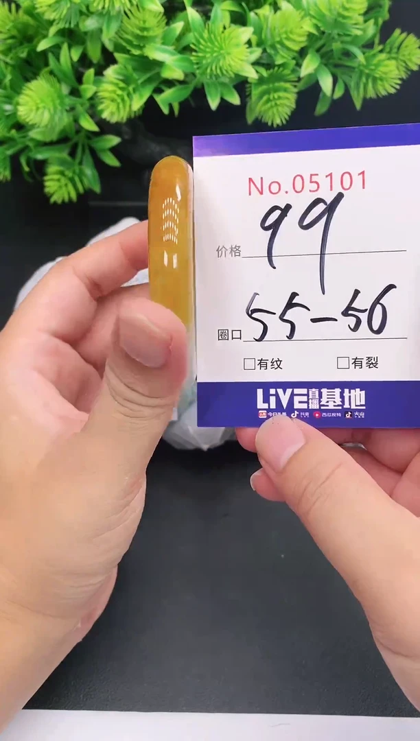 未镶嵌手镯翡翠5101