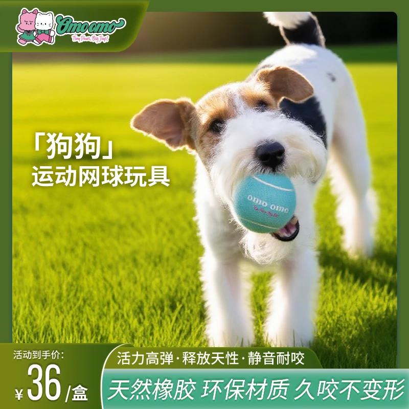 【OmoOmo奥莫莫宠物用品】狗狗推荐玩具弹力球冰淇淋网球静音高弹