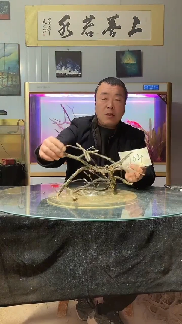 104号天然黄栎木一组