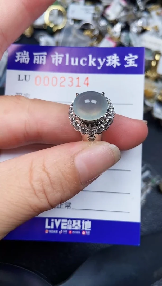 翡翠未镶嵌颈饰2314铜托