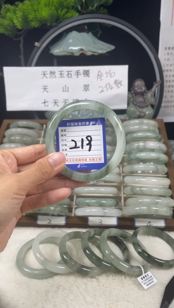 未镶嵌手镯石英质玉（天山翠）219