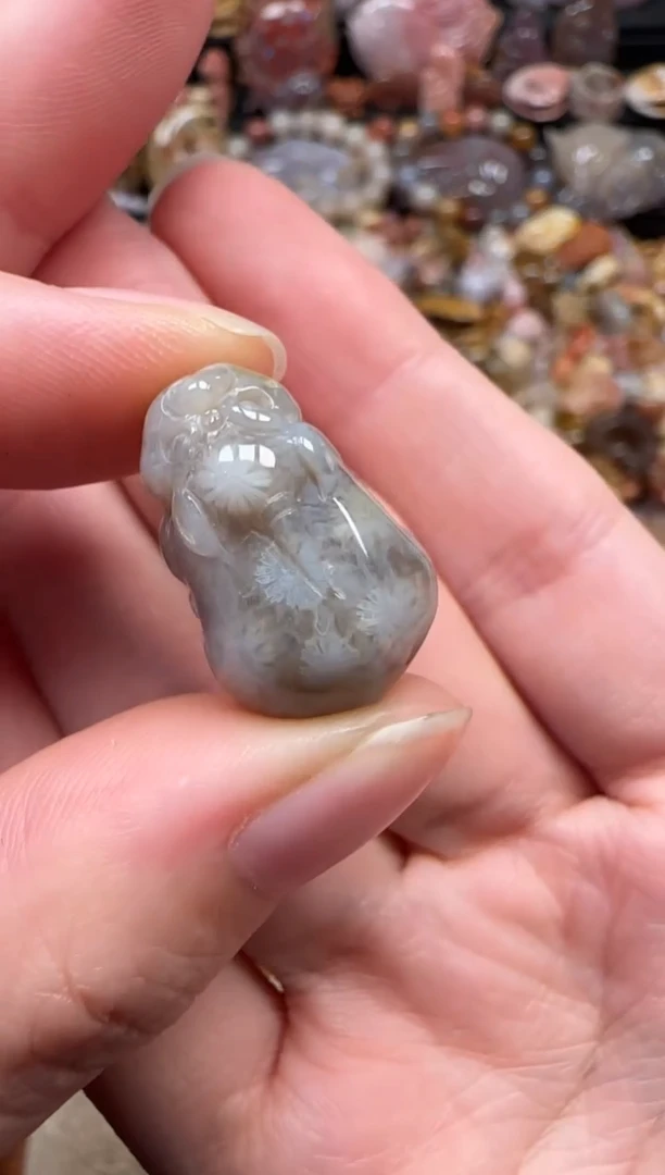 颈饰未镶嵌硅化珊瑚（珊瑚玉）805