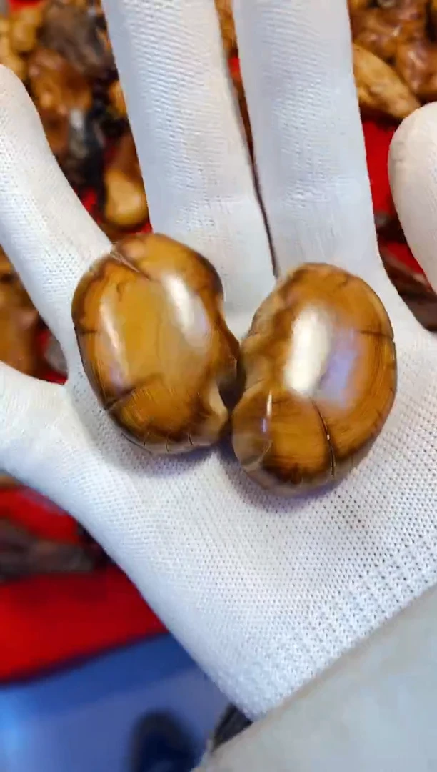 柏木（崖柏）19北太行崖柏手把件手串