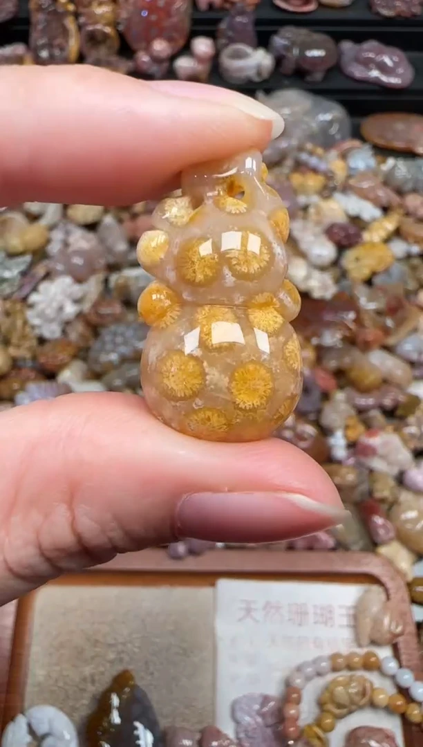 颈饰未镶嵌硅化珊瑚（珊瑚玉）096