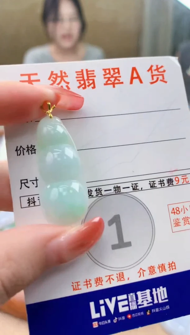 颈饰未镶嵌翡翠 天然A货翡翠挂件