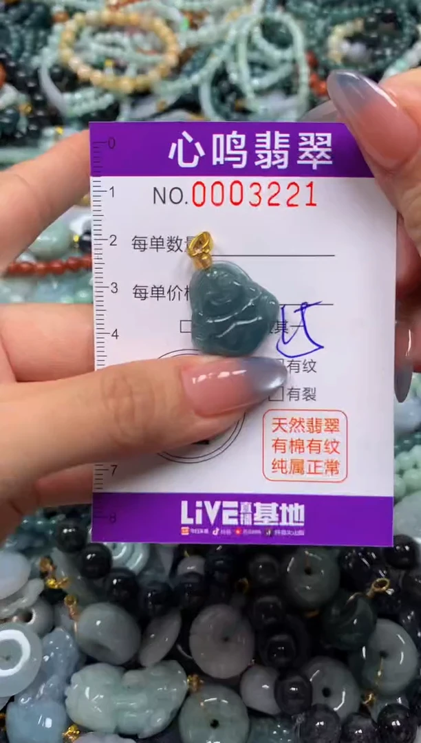 颈饰未镶嵌翡翠闪购003221