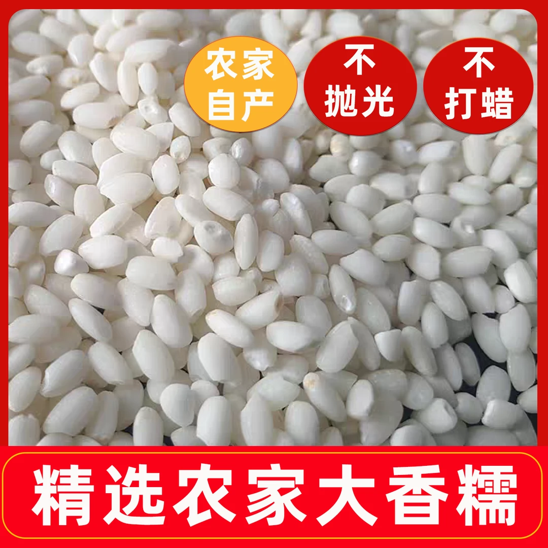 农家自产圆糯颗粒大装大米香味足粘糯粽子糯米饭安徽2025新糯