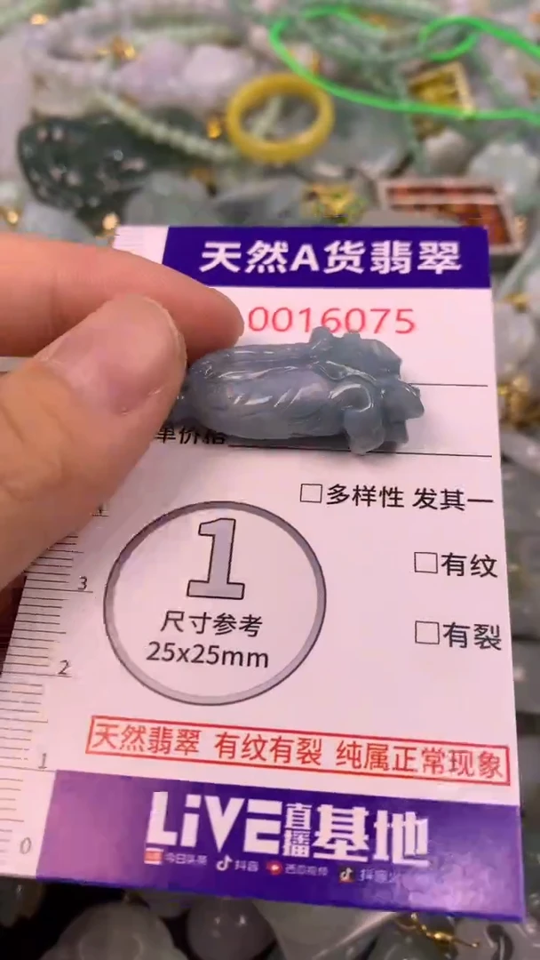 颈饰未镶嵌翡翠1