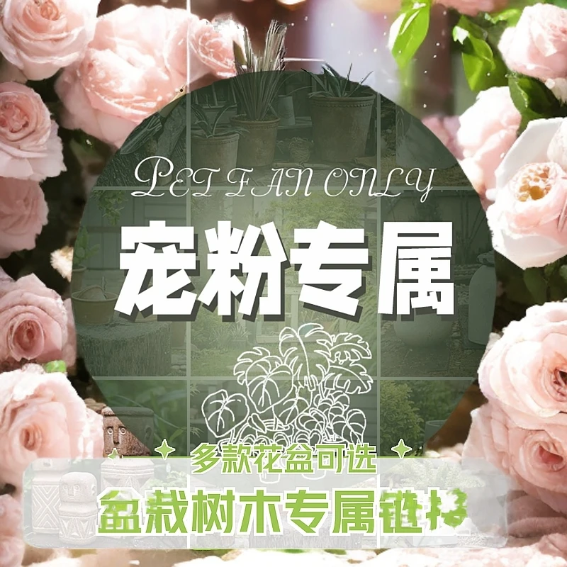 宠粉编号201-400福利仿真绿植仿真花