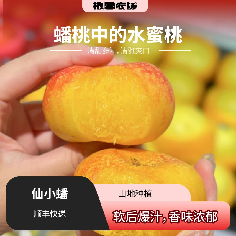 沂蒙生态桃甜度高有很独特的香气果香清雅爽口放软汁水足桃子味浓