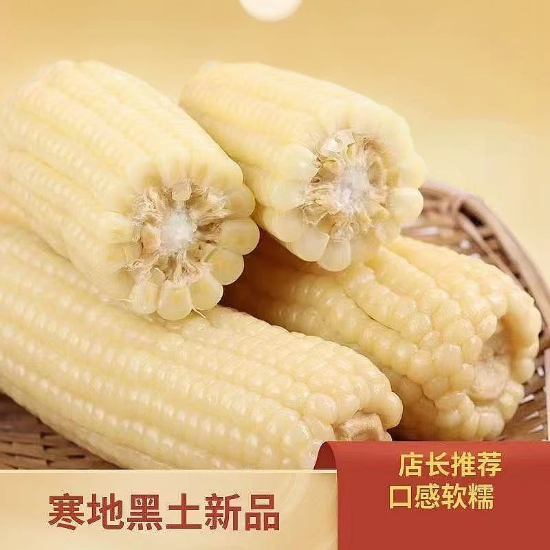 【10支6.5-7斤】【试吃两支】F东北白糯玉米 真空包装