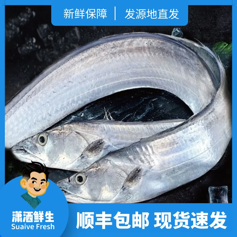 【现称】吕四港老鹰带1~10斤
