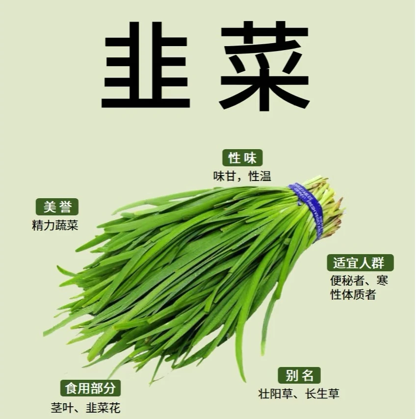 【秋季新上韭菜单品】南京当季韭菜绿色健康蔬菜清炒江浙沪次日达绿色