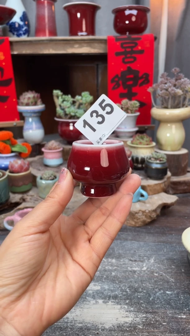 【闪购商品】摆件135知木小芳花盆