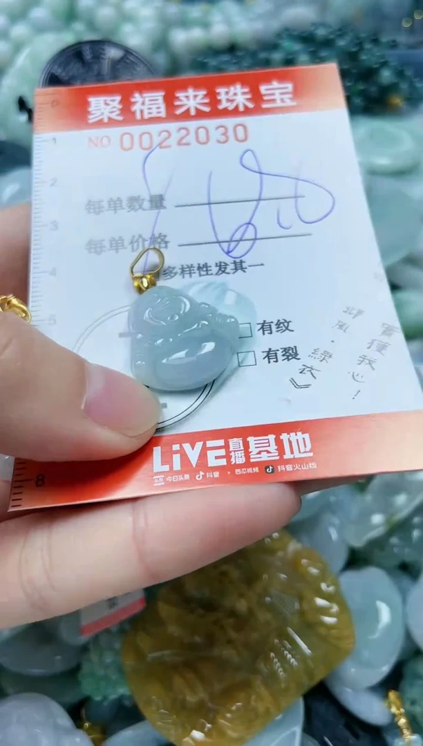 【闪购商品】翡翠颈饰未镶嵌闪购0022030多样性发其一