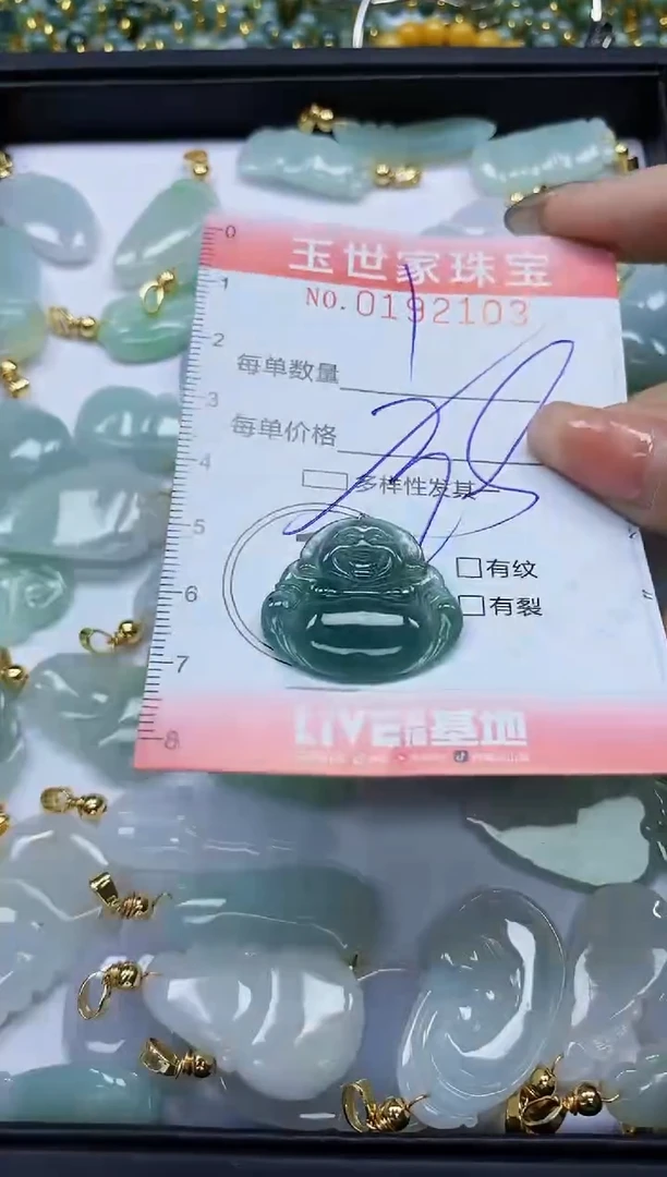 【闪购商品】翡翠颈饰未镶嵌闪购0192103多样性发其一